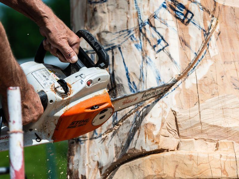 Tree removal job in the Downtown Dubuque neighborhood of Dubuque