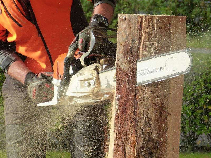 Tree removal job near Hazel Green, WI