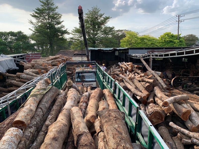 Tree removal job near Platteville, WI